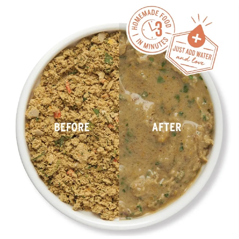 Adult Grain Free Beef Complete Dehydrated Dog Food