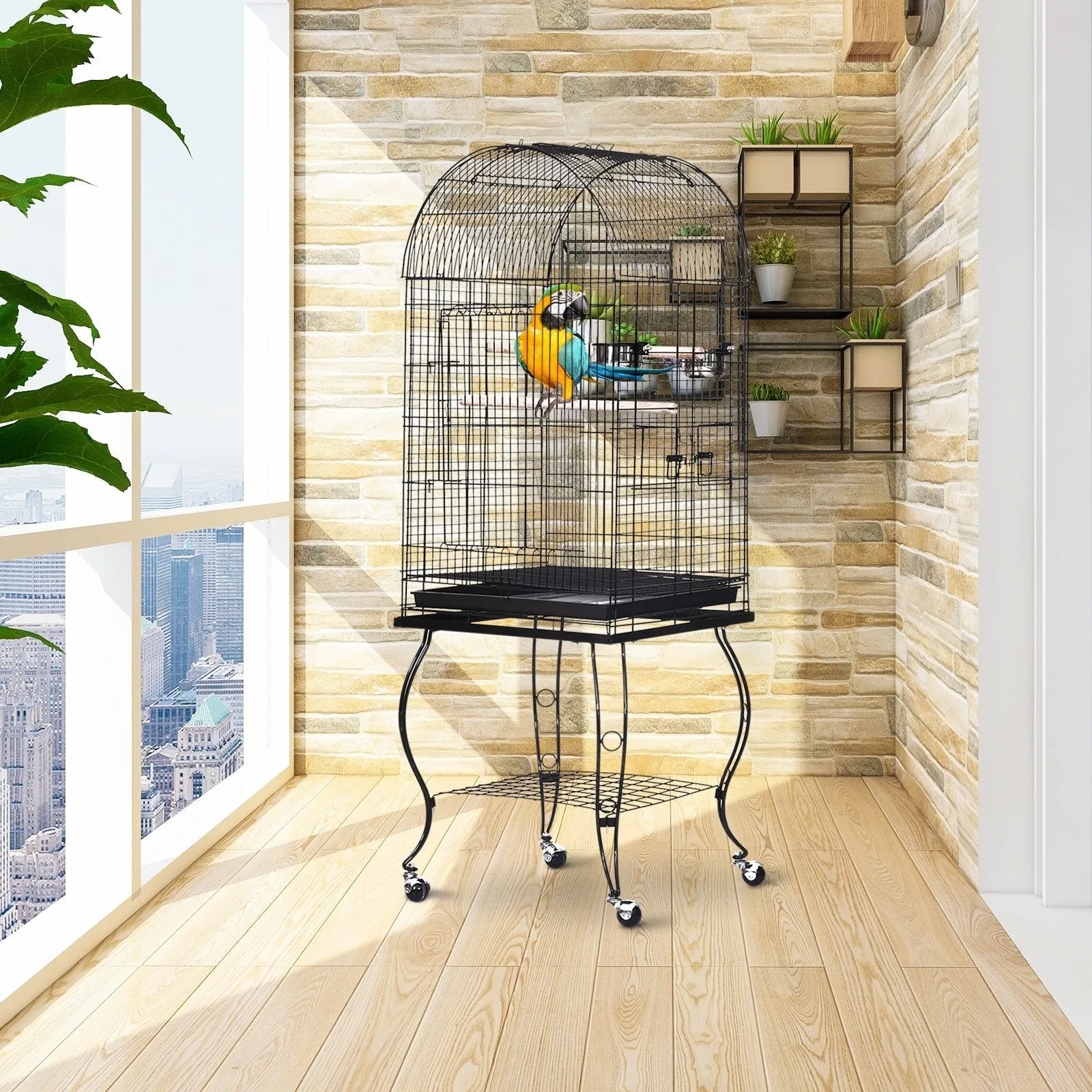 Bird Cage