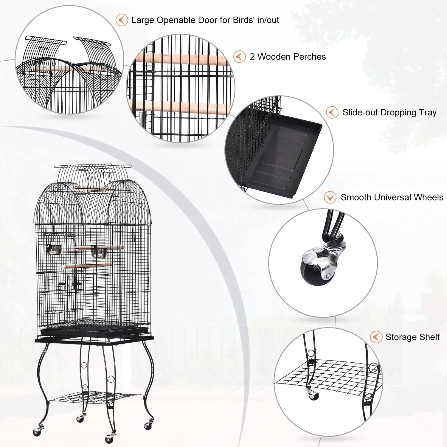 Bird Cage