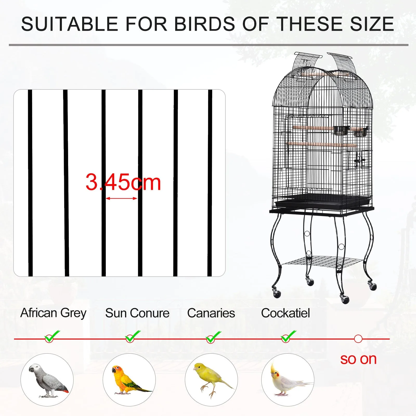 Bird Cage