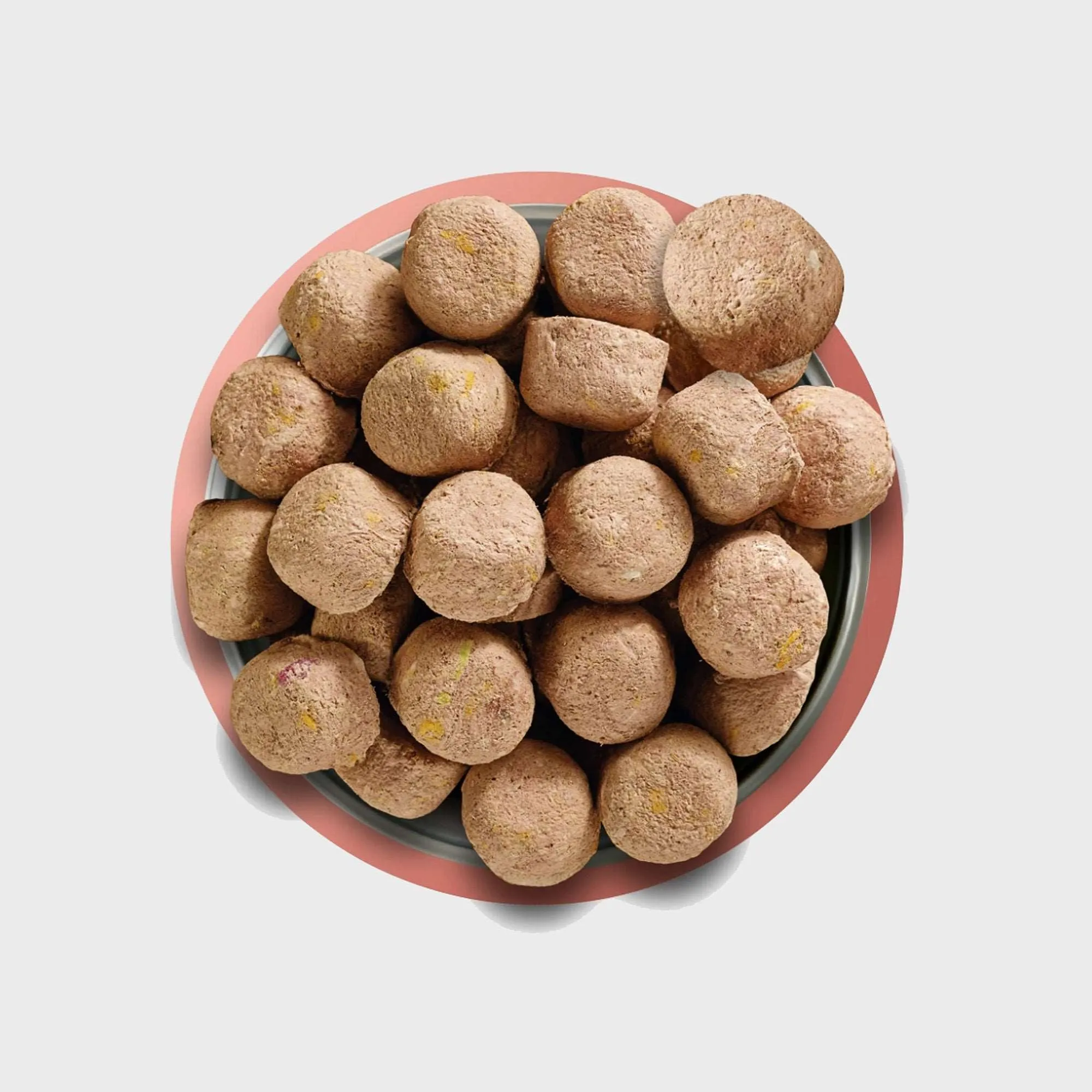 COMPLETE RAW FREEZE DRIED FOOD 80/20 BEEF