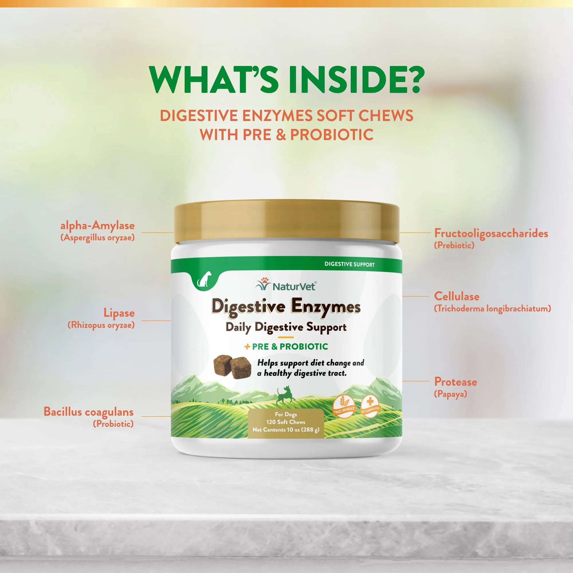 Digestive Enzymes Soft Chews with Prebiotics & Probiotics