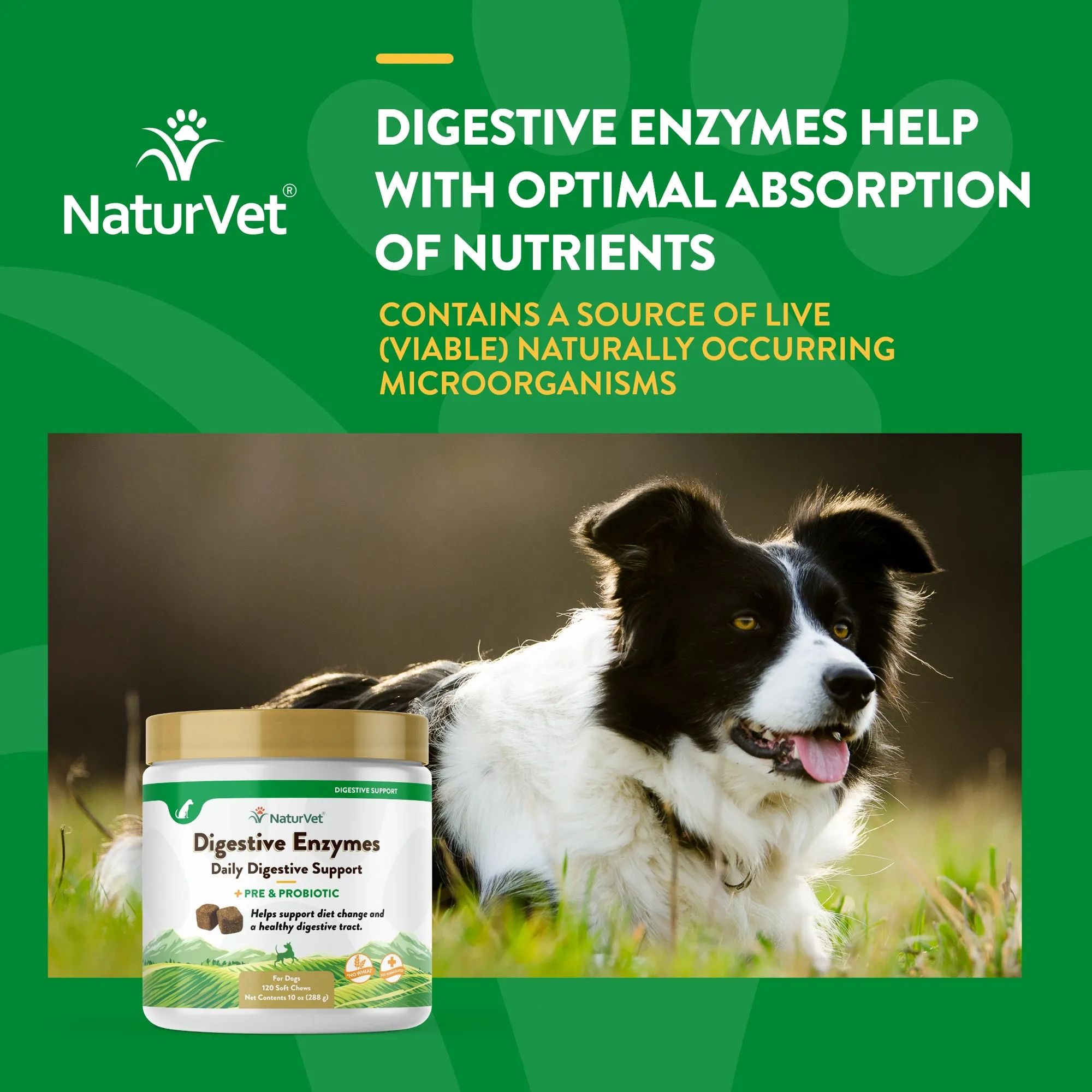 Digestive Enzymes Soft Chews with Prebiotics & Probiotics