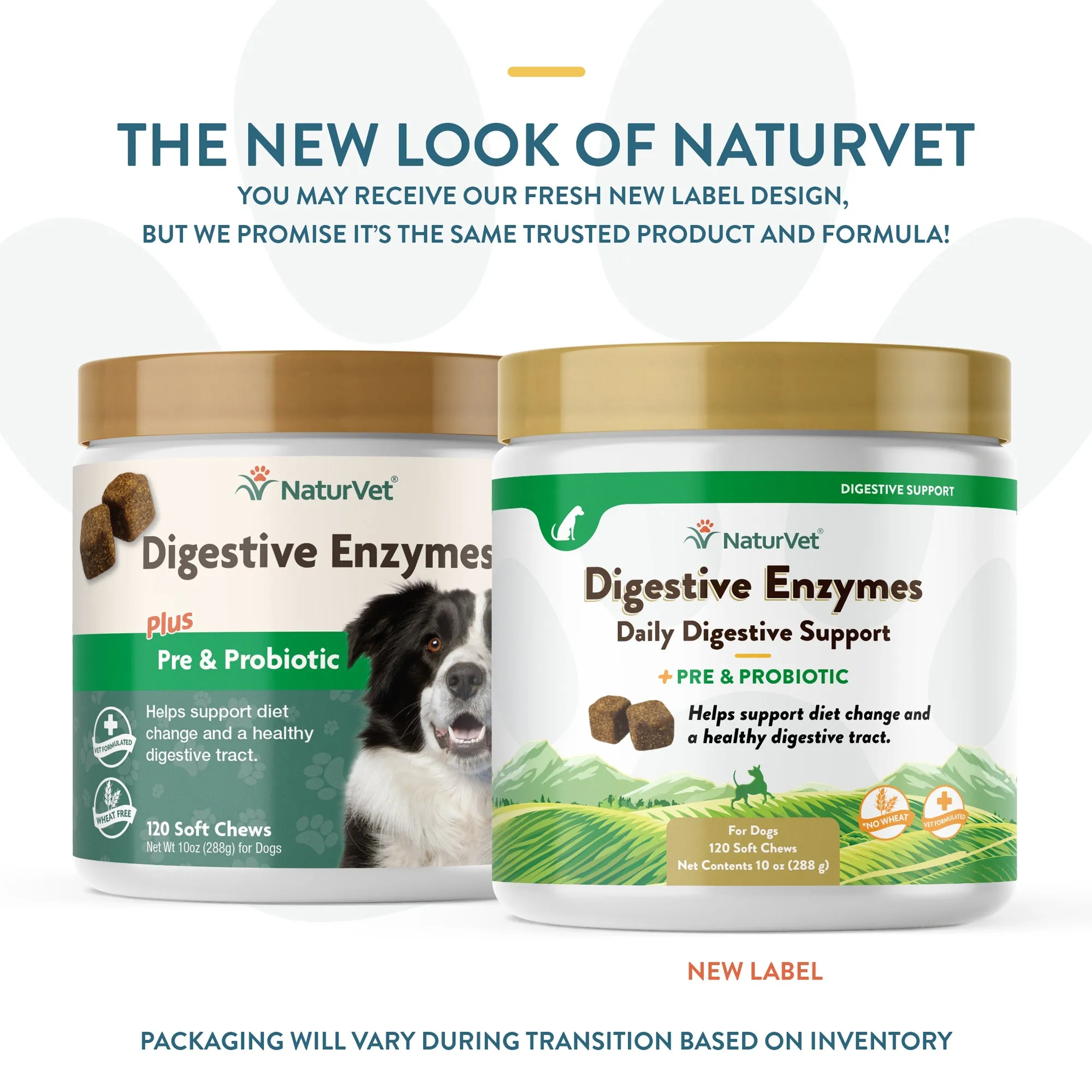 Digestive Enzymes Soft Chews with Prebiotics & Probiotics