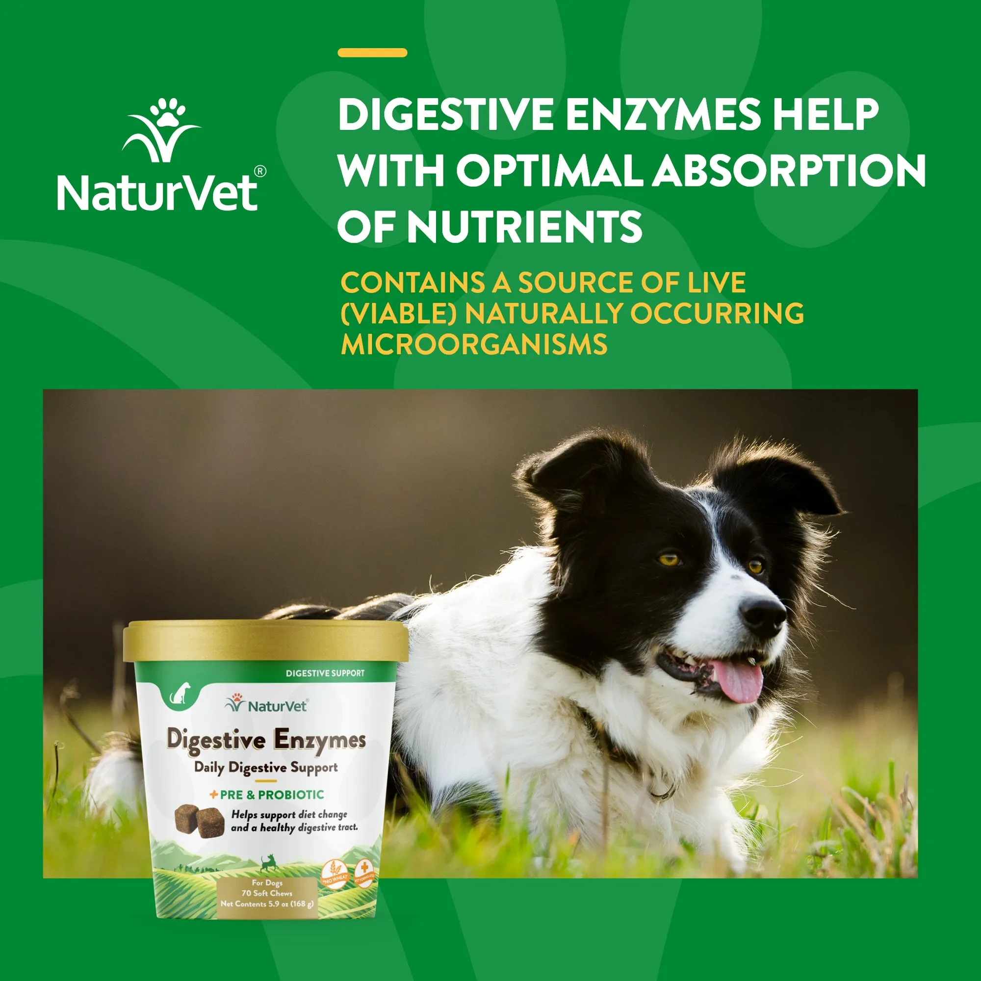 Digestive Enzymes Soft Chews with Prebiotics & Probiotics