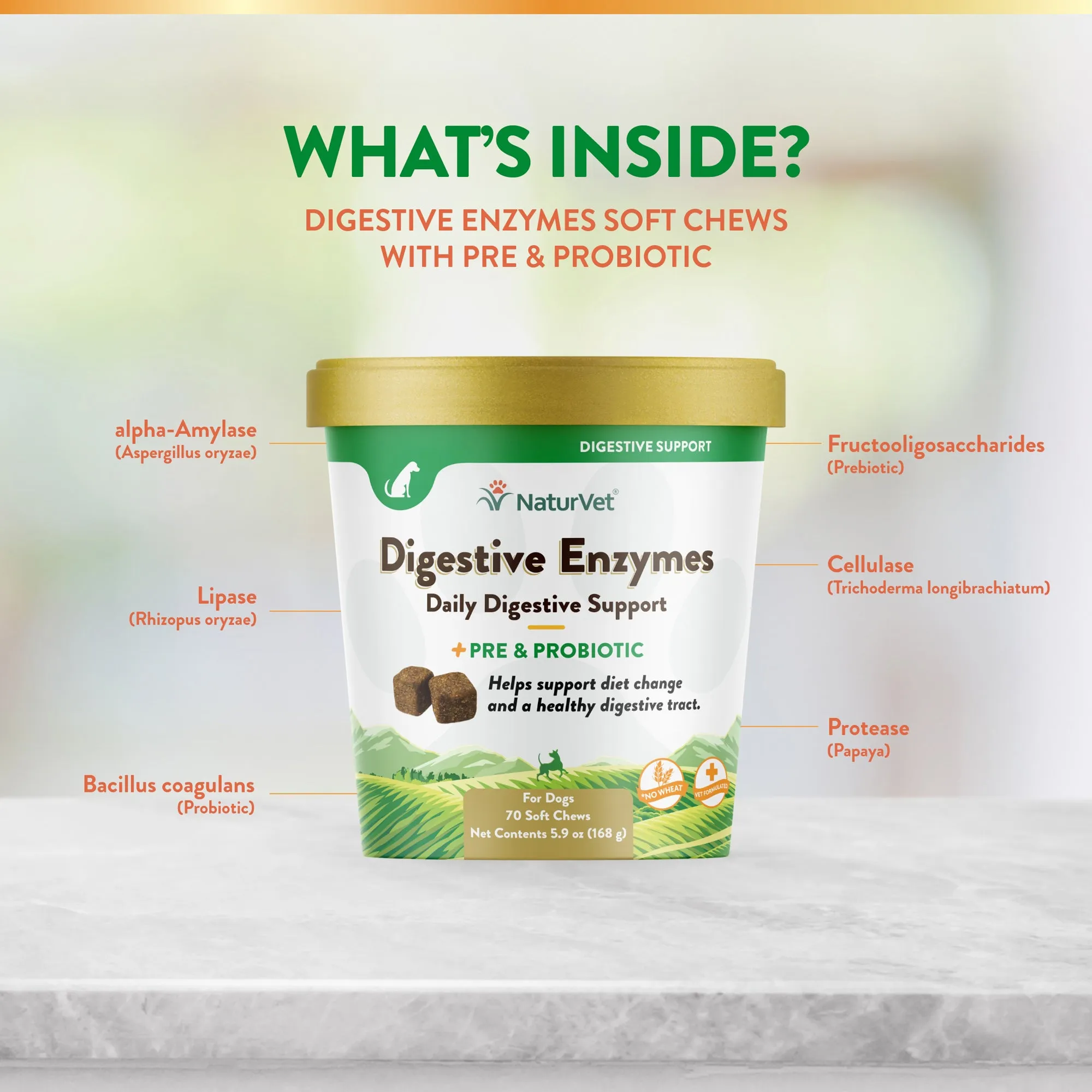 Digestive Enzymes Soft Chews with Prebiotics & Probiotics