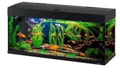DUBAI 100 AQUARIUM BLACK LED