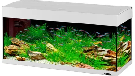 DUBAI 100 AQUARIUM BLACK LED