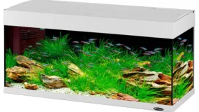 DUBAI 100 AQUARIUM BLACK LED