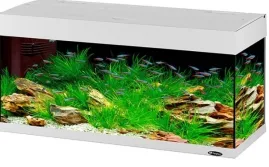 DUBAI 120 LED