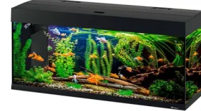 DUBAI 120 LED