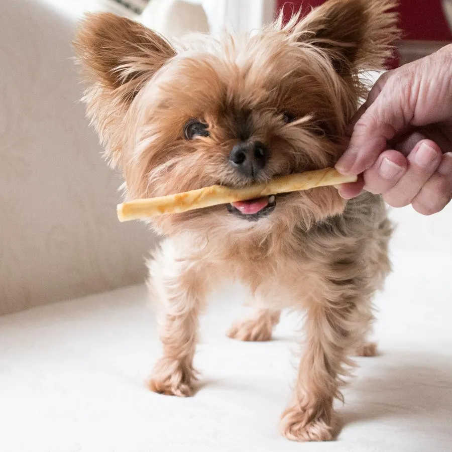 Earth Animal No-Hide Chew STIX for Small Dogs & Cats