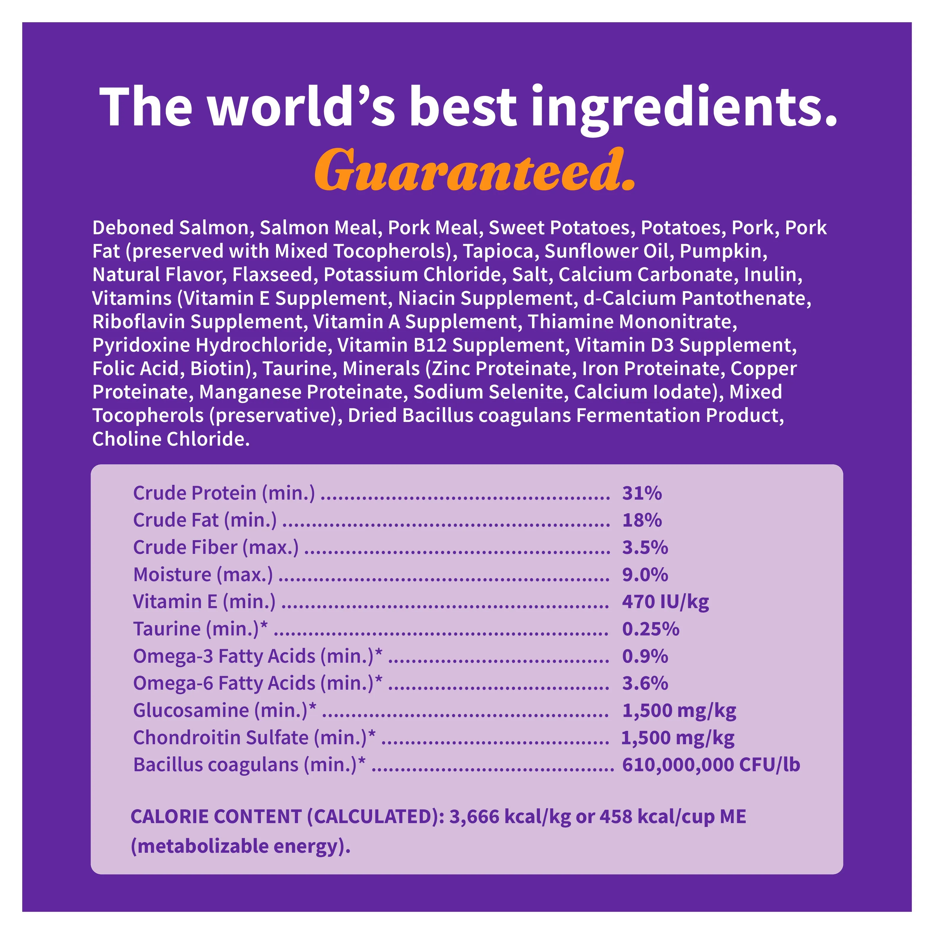 Elevate Grain Free Salmon Recipe Adult Dry Dog Food