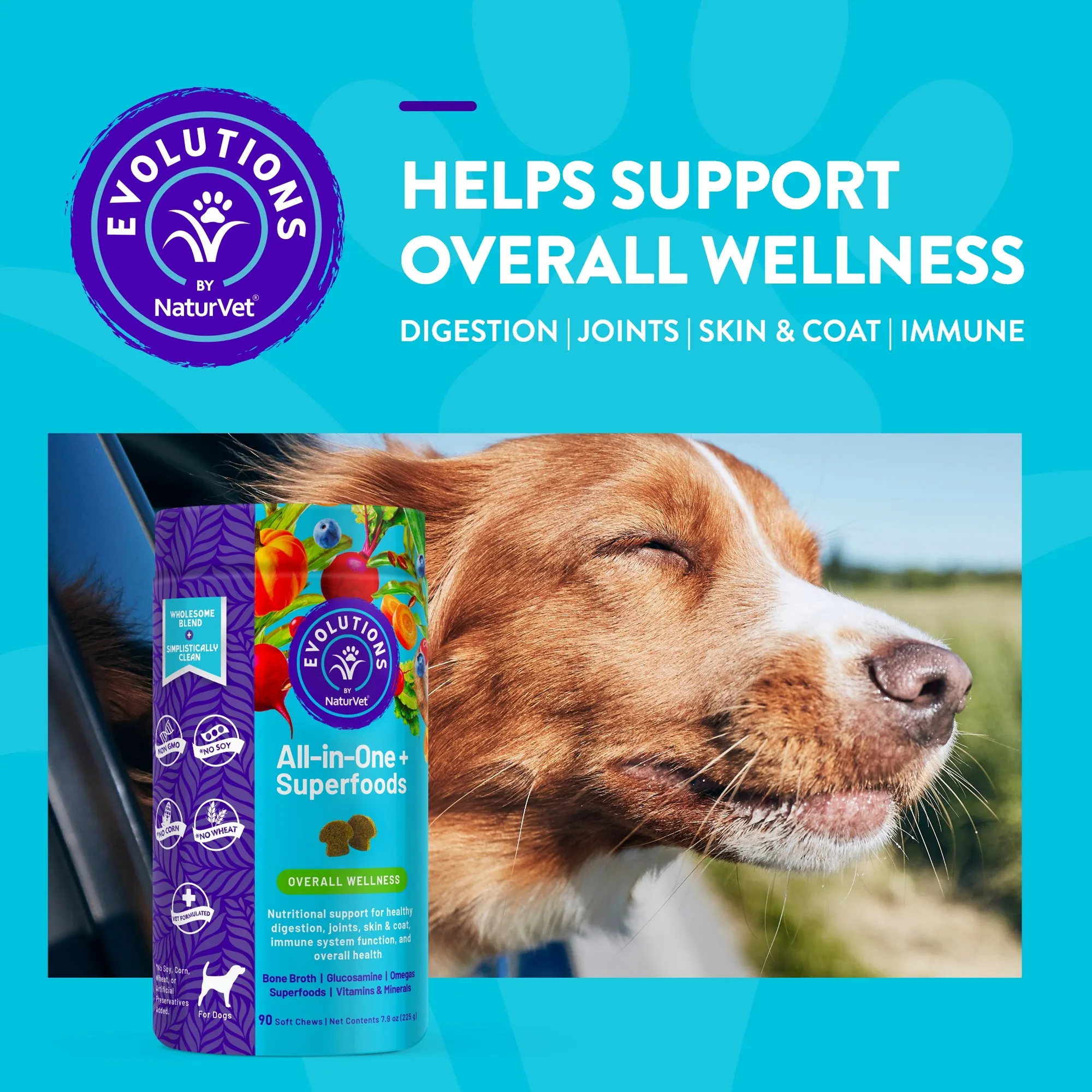 Evolutions - All-in-one   Superfoods Soft Chews