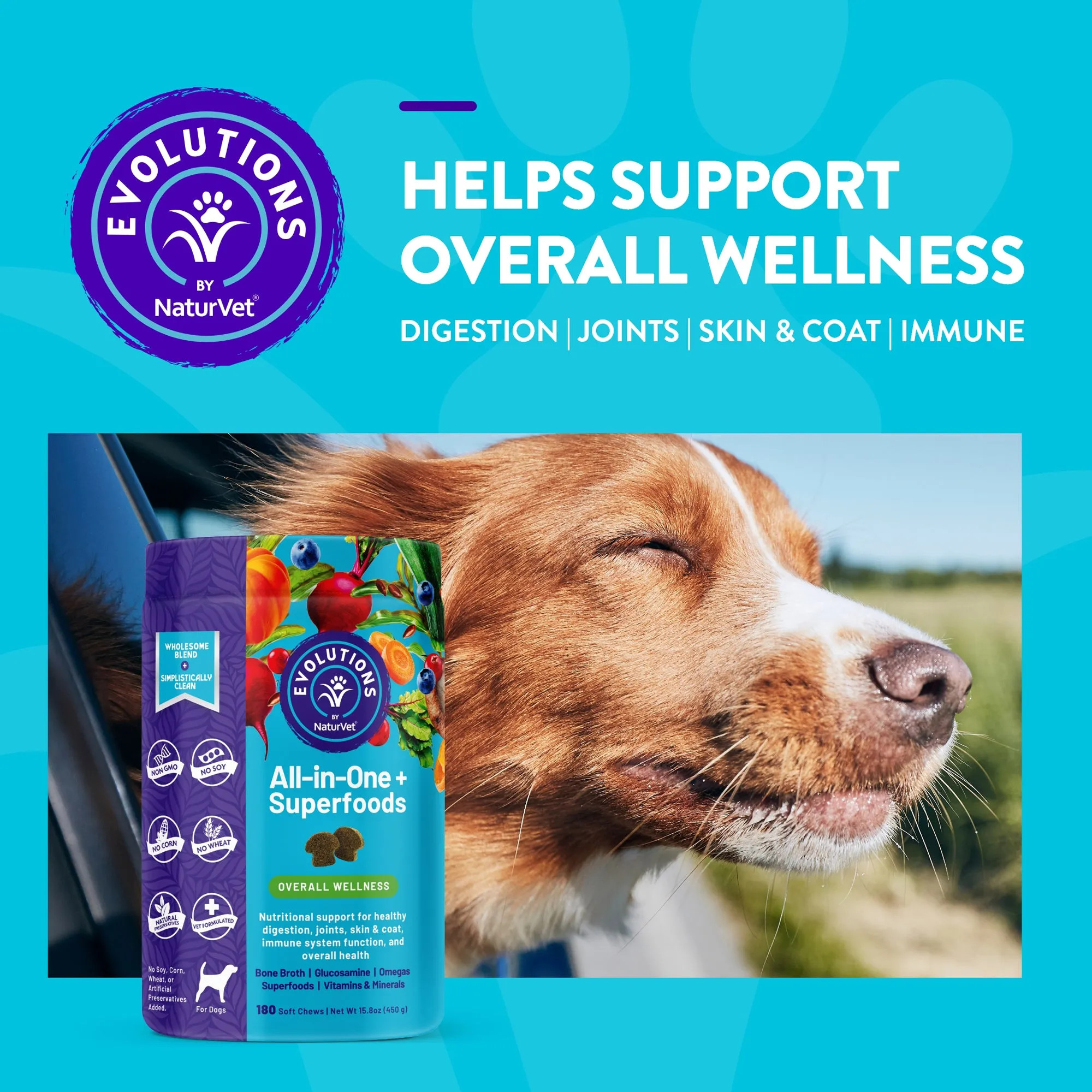 Evolutions - All-in-one   Superfoods Soft Chews