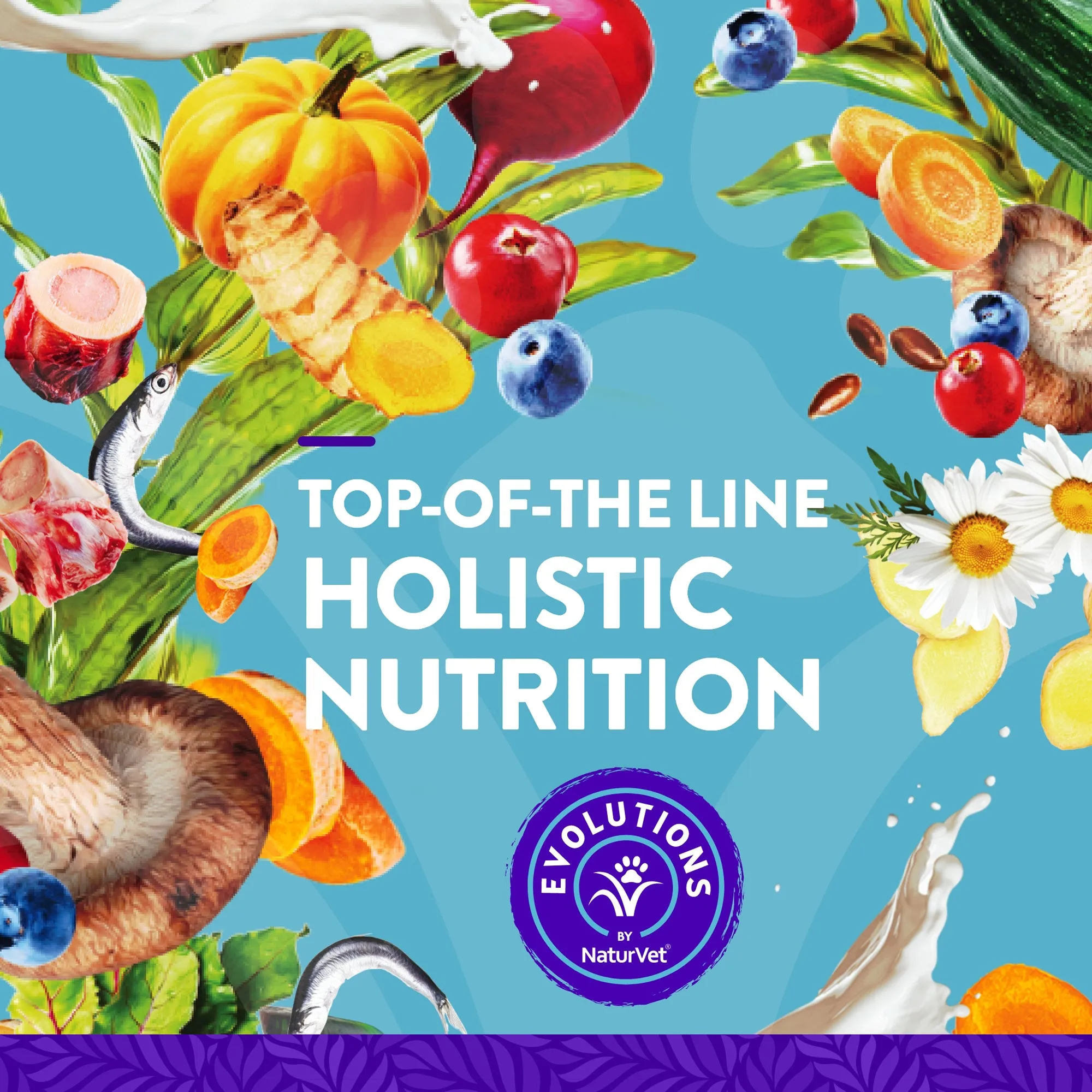 Evolutions - All-in-one   Superfoods Soft Chews