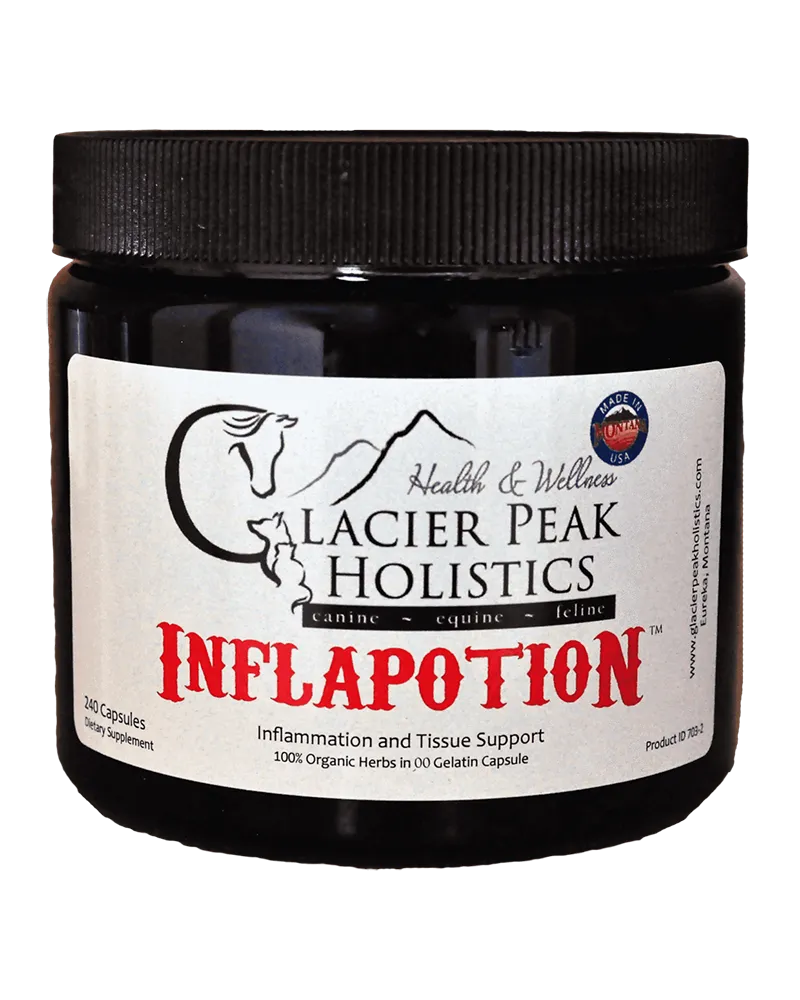 Glacier Peak Holistics Inflapotion Herbal Remedy for Dogs 120-Count