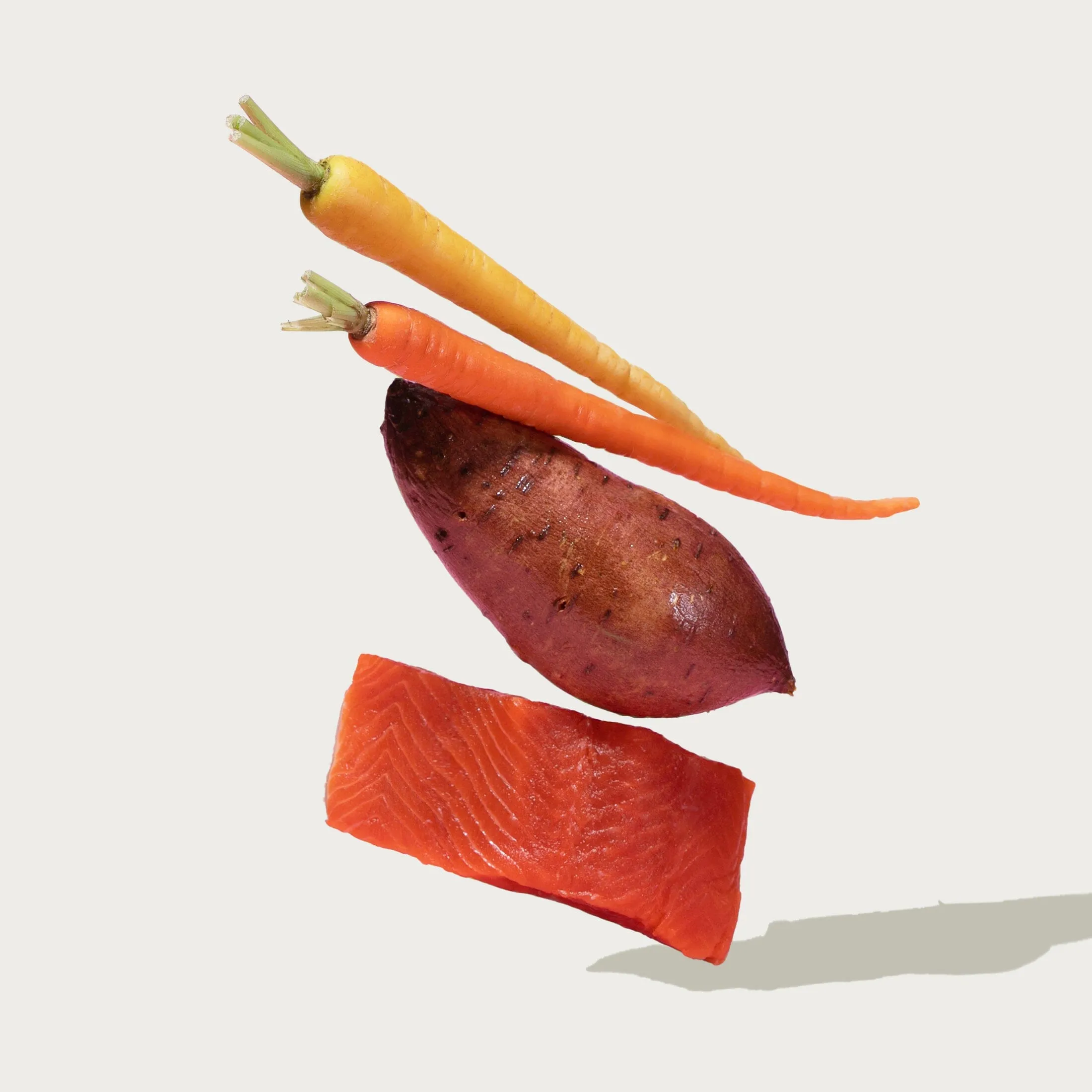 Grain-Free Salmon Paté Wet Dog Food