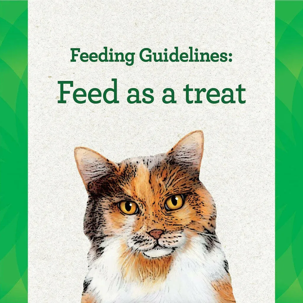 Greenies Feline Pill Pockets Catnip Flavor, 1.6-oz
