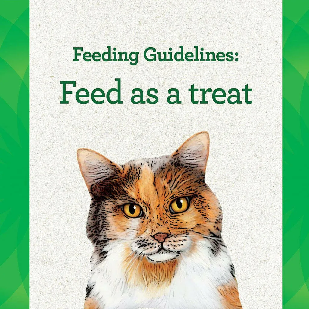 Greenies Feline Pill Pockets Salmon Flavor, 1.6-oz