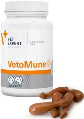 How to increase a dog's immune system, cats, VetoMune