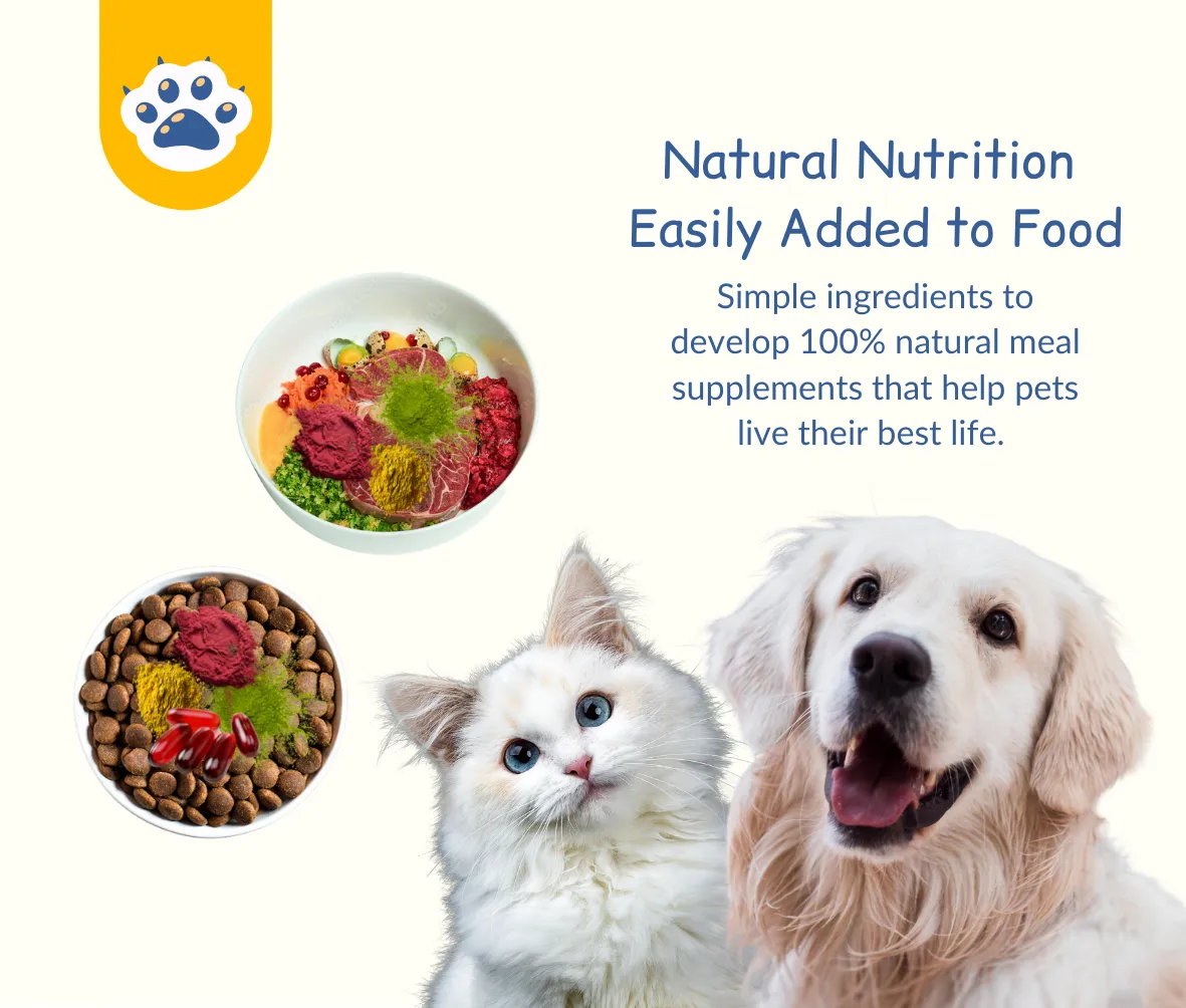 Krill Oil for Dogs & Cats - Maxi Omega-3 SoftGel with HUMAN GRADE
