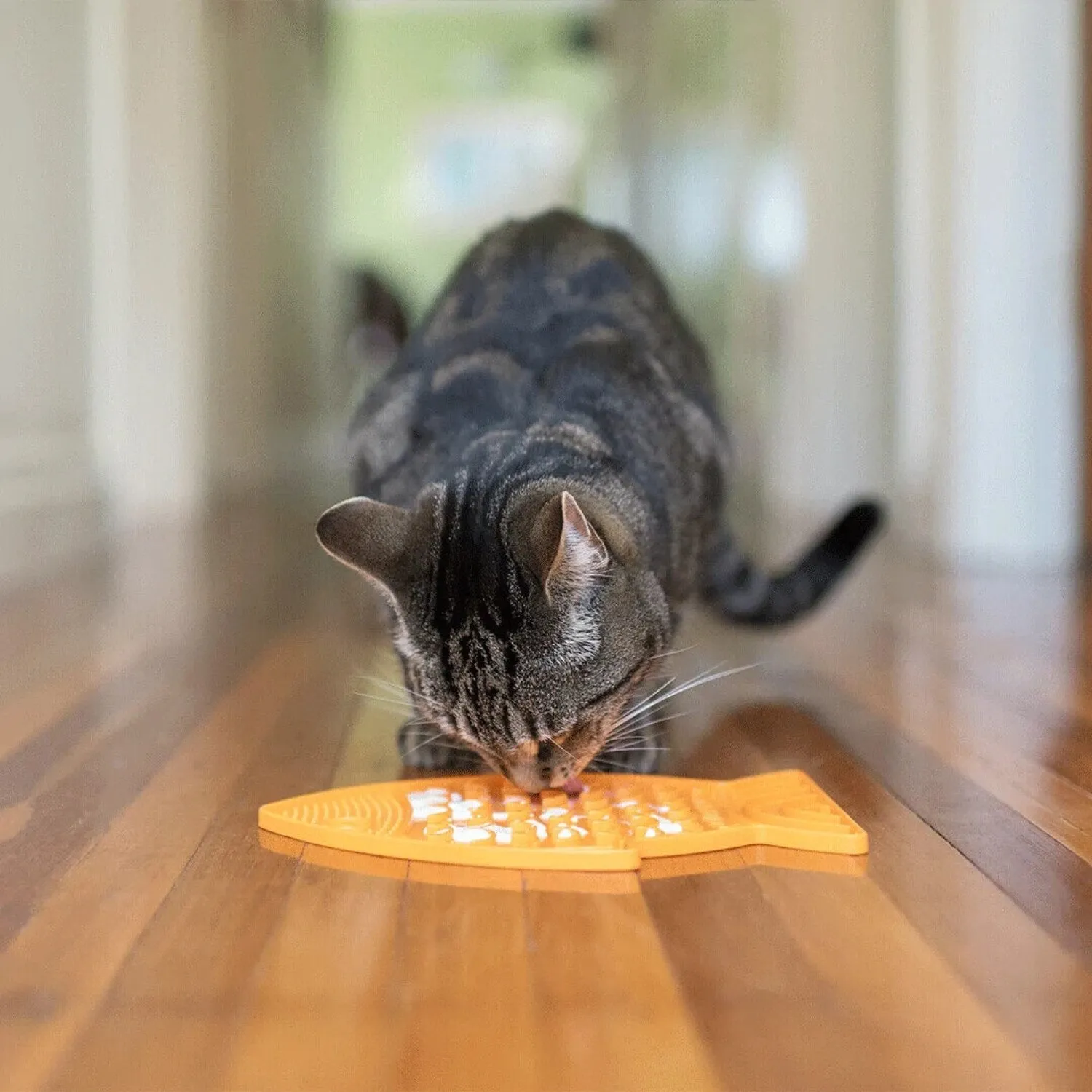 LickiMat Classic Felix (Orange) Cat Toy