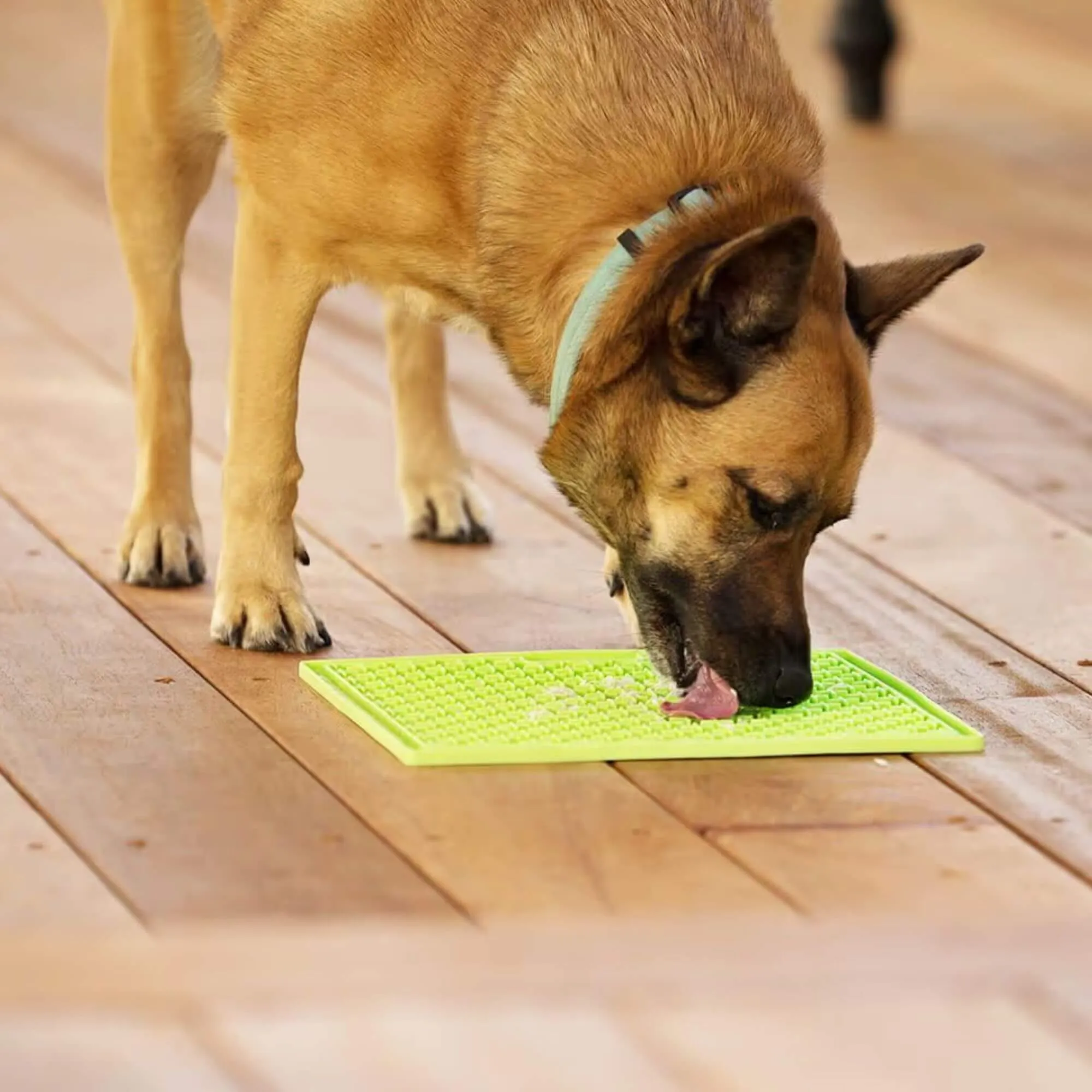 LickiMat Soother XL Bordem Buster for Larger Dogs