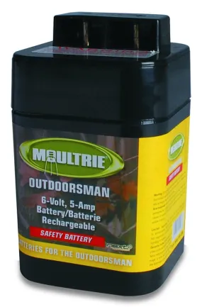 Moultrie MFHP12406 Safety Battery, Plastic :EA: QUANTITY: 6