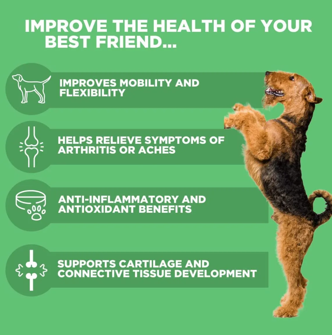 Natural Grain-Free Soft Chews Hip & Joint Supplement for Dogs - Advanced Arthritis Relief 480g