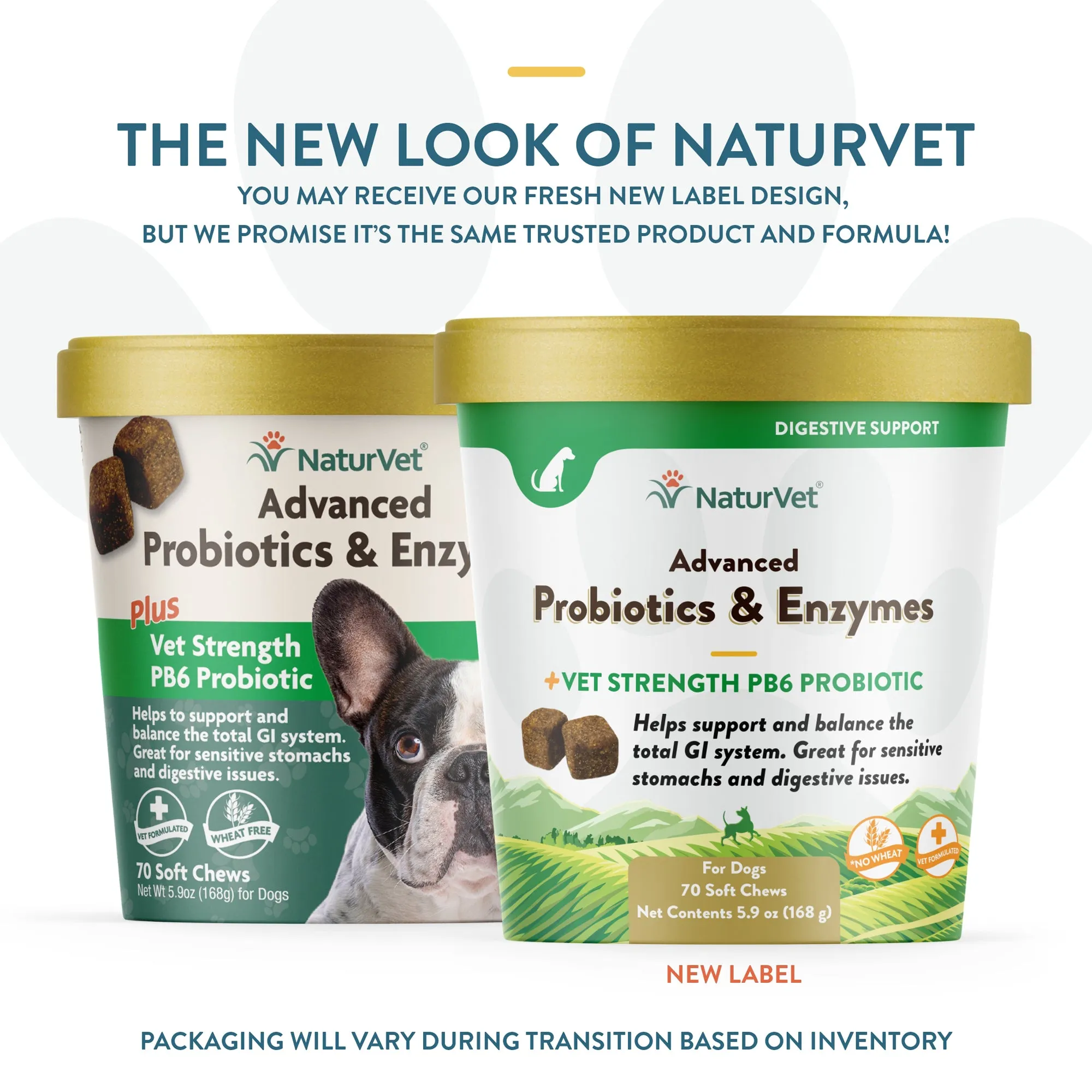 NaturVet Advanced Probiotics and Enzymes Supplement Dog Soft Chews