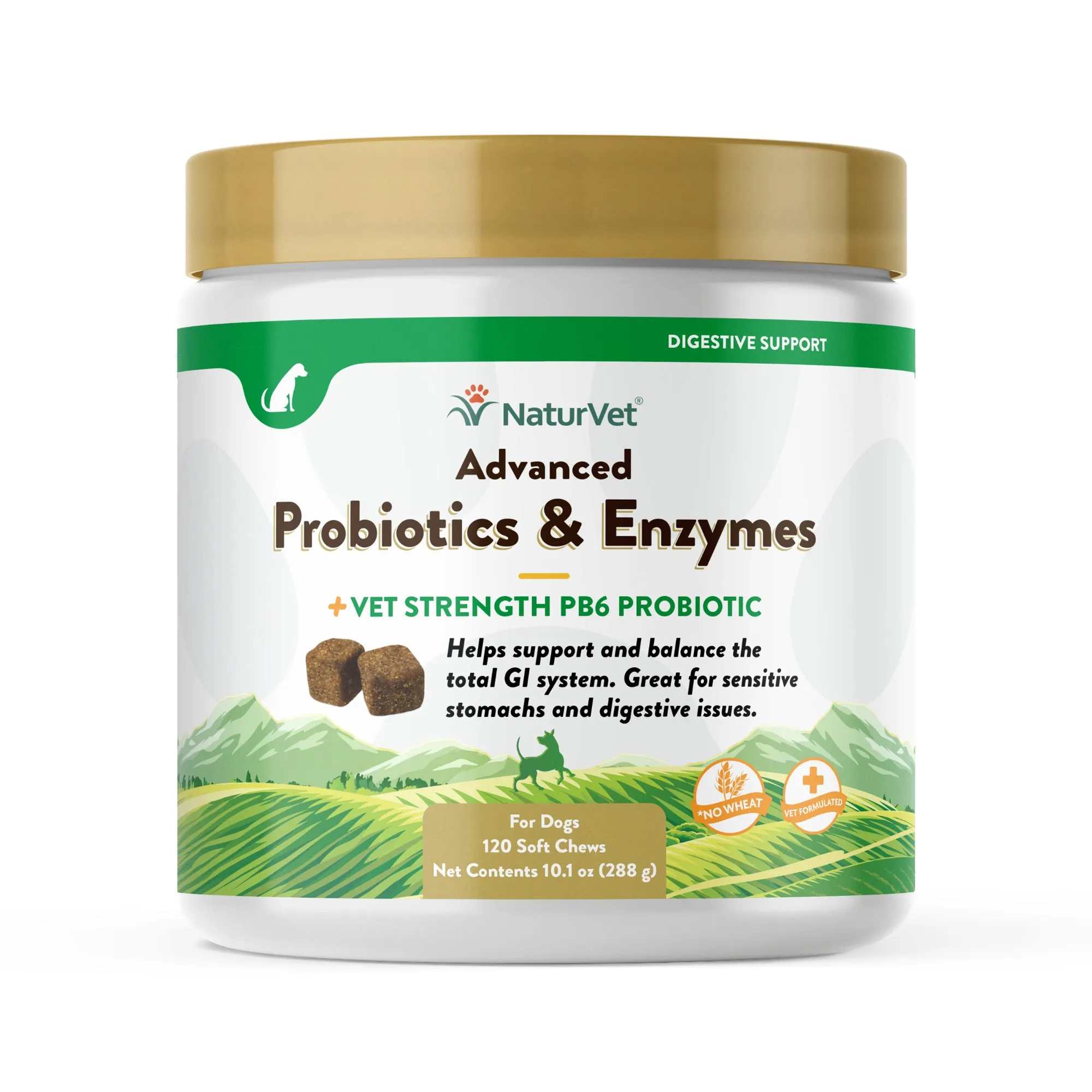 NaturVet Advanced Probiotics and Enzymes Supplement Dog Soft Chews