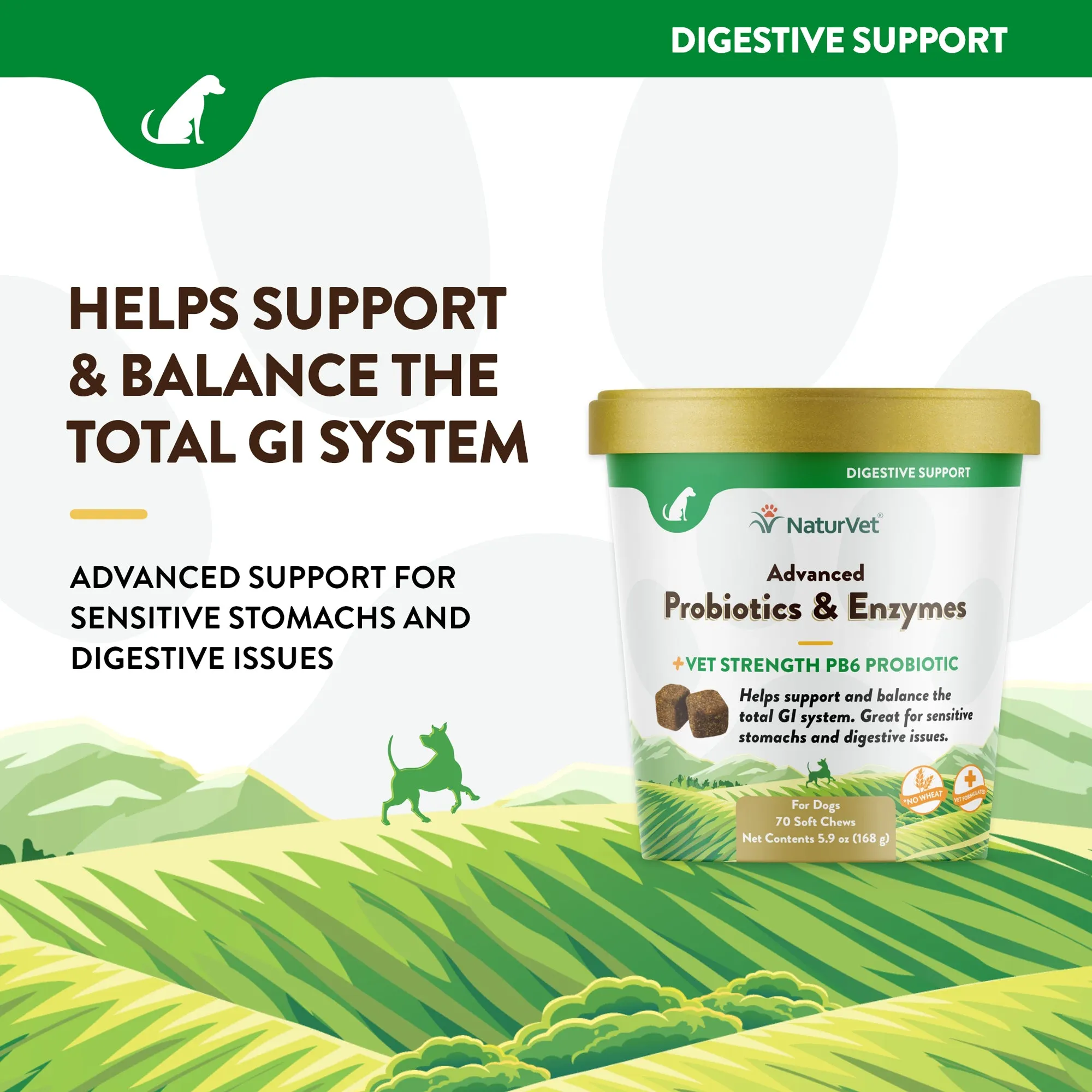 NaturVet Advanced Probiotics and Enzymes Supplement Dog Soft Chews