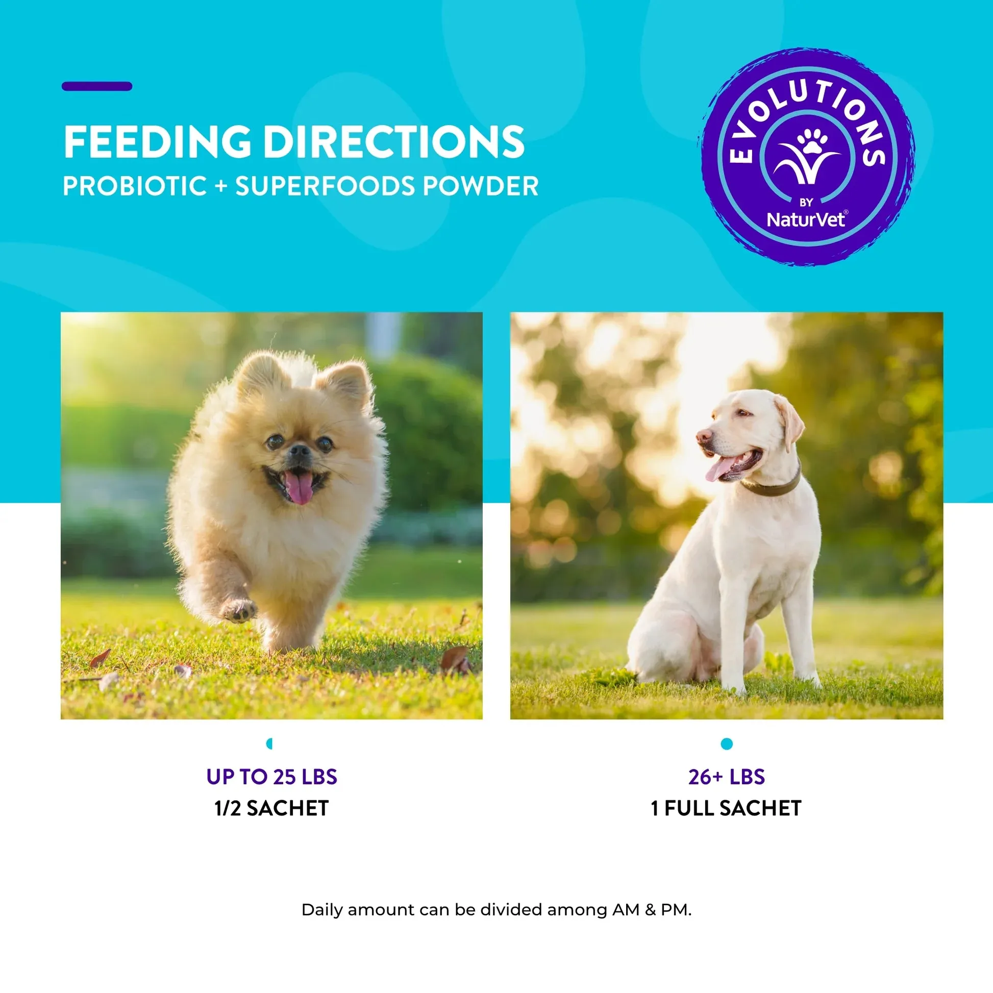 NaturVet Evolutions Probiotic   Superfoods Soft Chews for Dogs