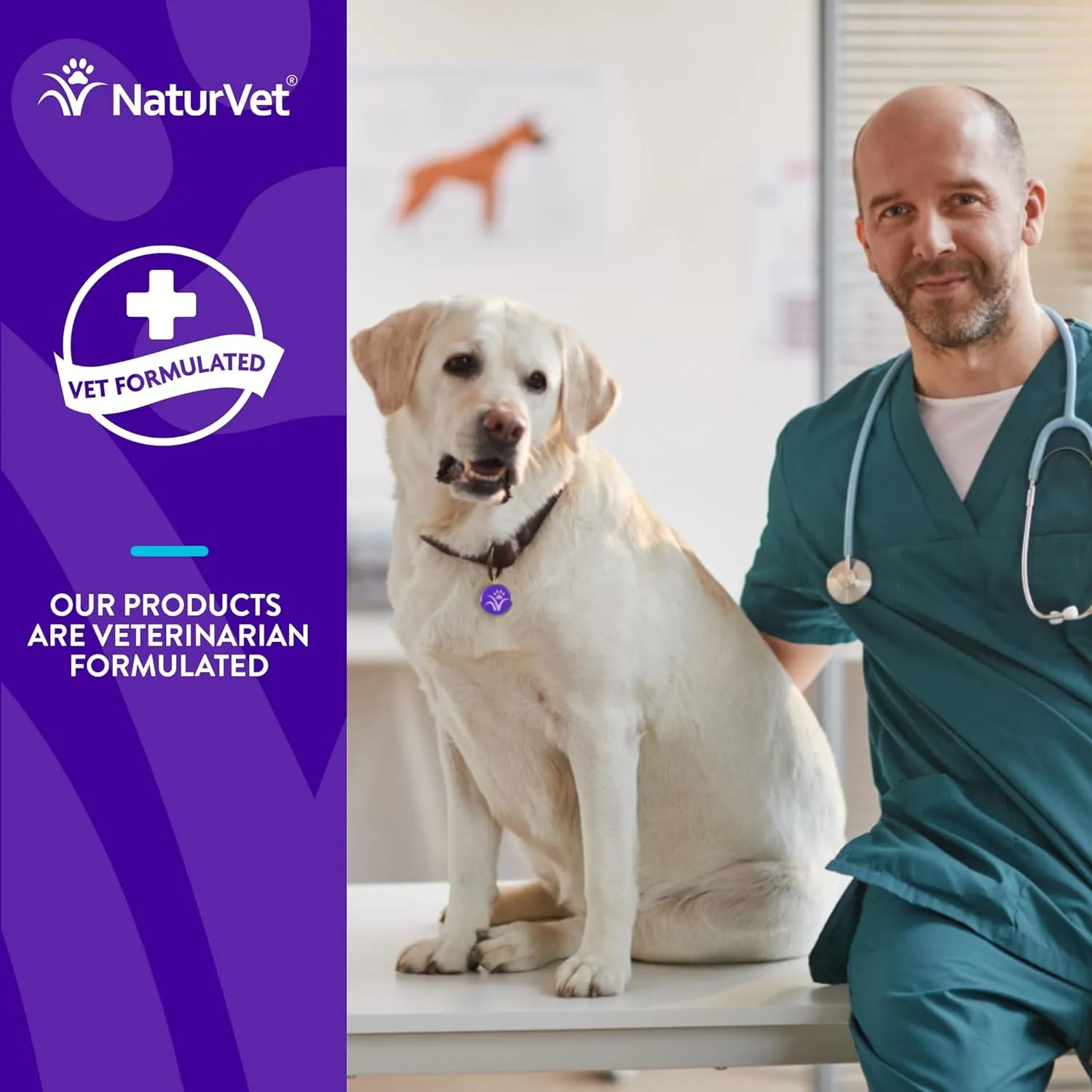 NaturVet Evolutions Probiotic   Superfoods Soft Chews for Dogs