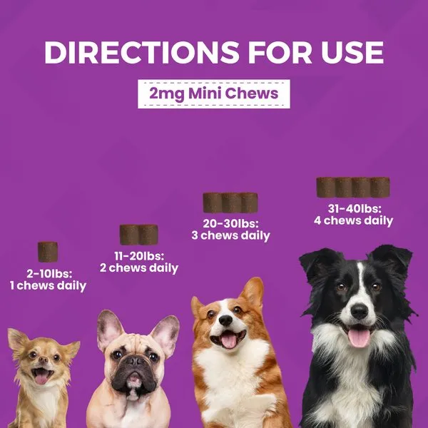 Nootie Progility Minis Calming Aid with Melatonin Soft Chew Supplement for Dogs