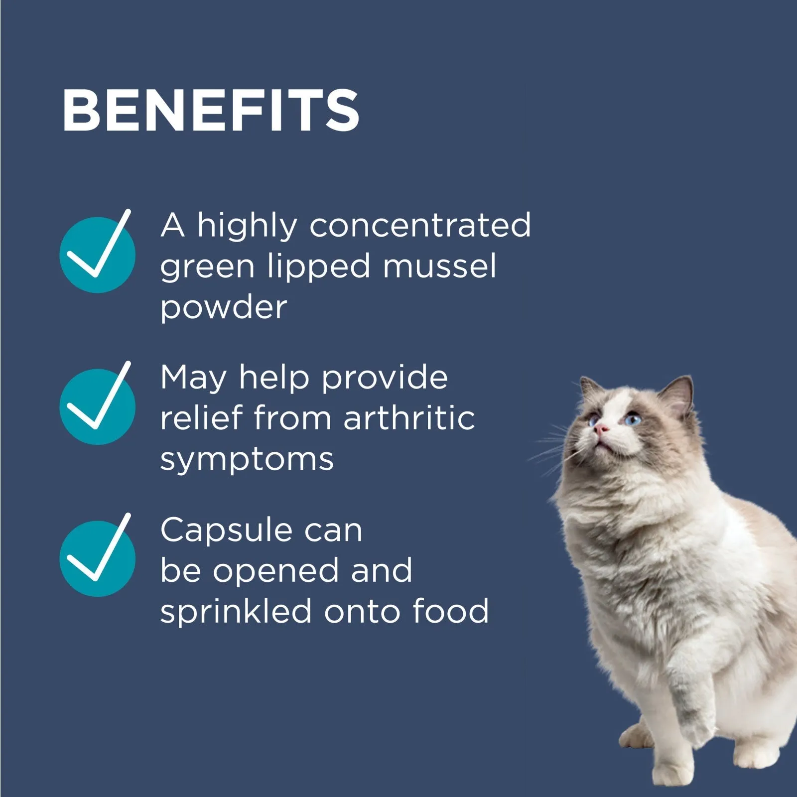 PAW by Blackmores Osteosupport Joint Care Powder Capsules for Cats 60 Pack