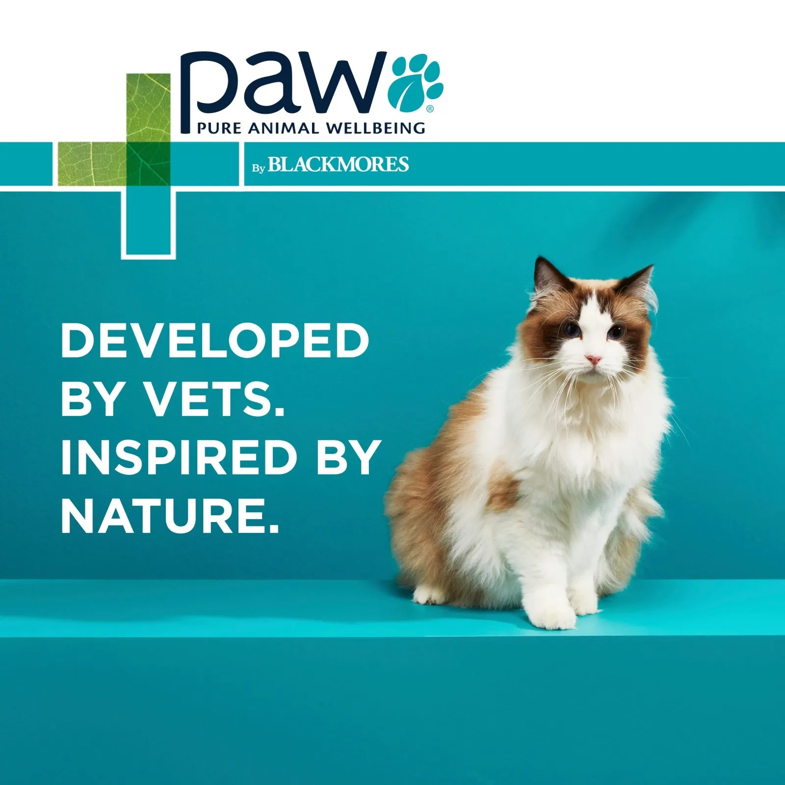 PAW by Blackmores Osteosupport Joint Care Powder Capsules for Cats 60 Pack