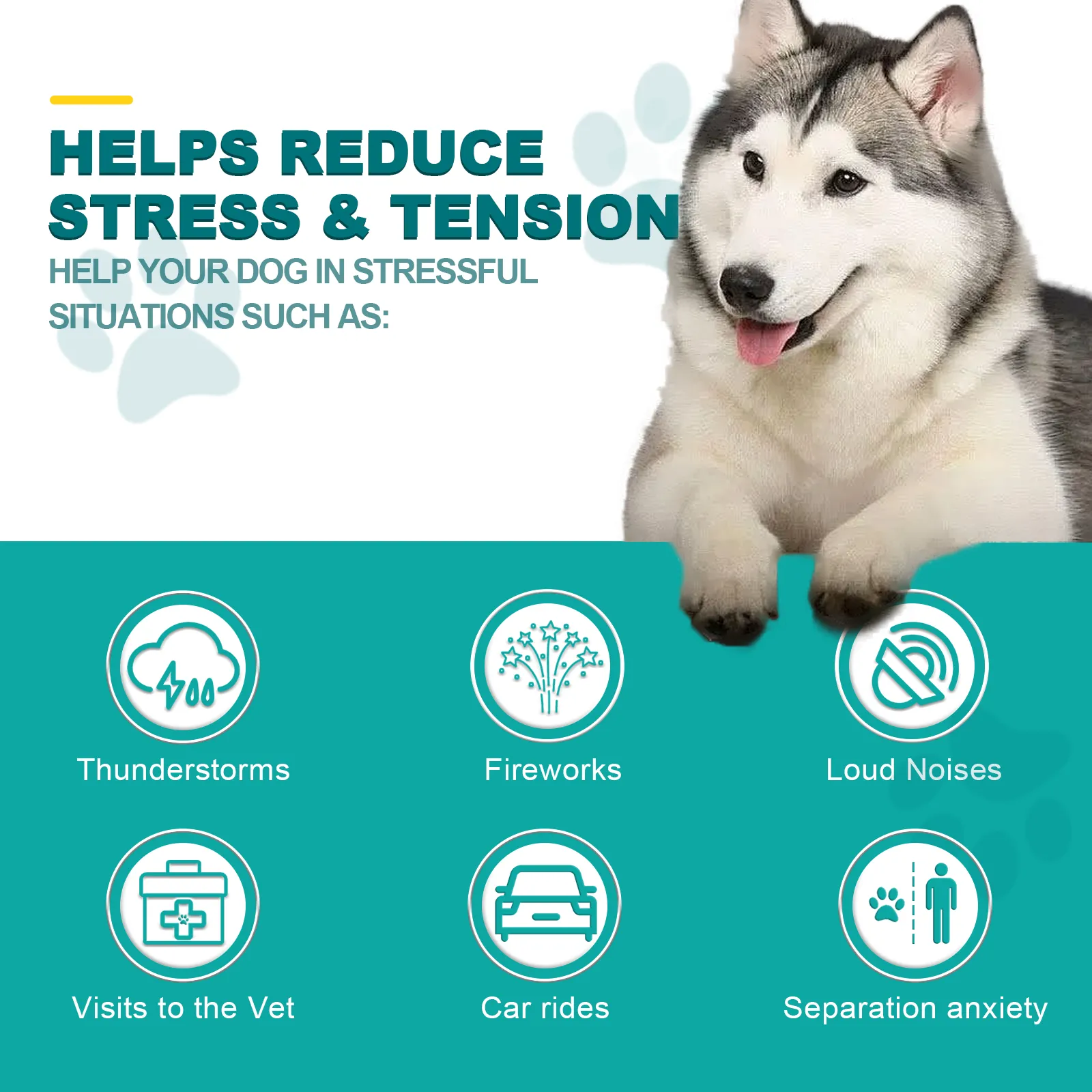 PETPYA Hemp Calming Chews