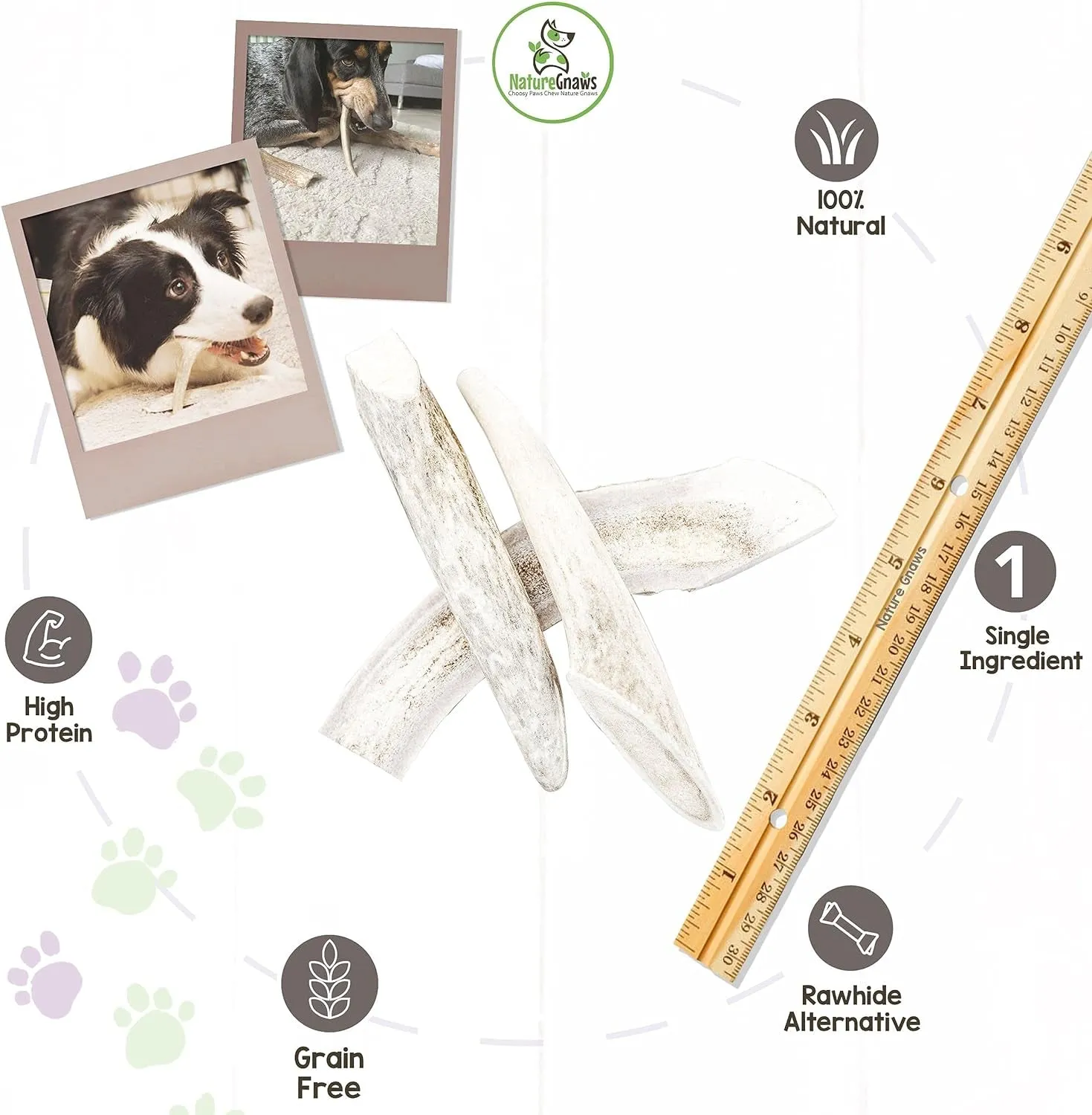 Premium USA Deer Antler Dog Chews – Natural Treats for Aggressive Chewers