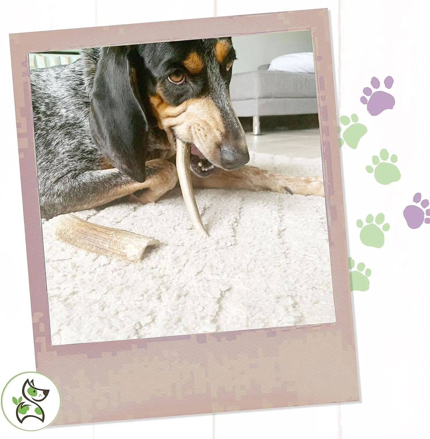 Premium USA Deer Antler Dog Chews – Natural Treats for Aggressive Chewers