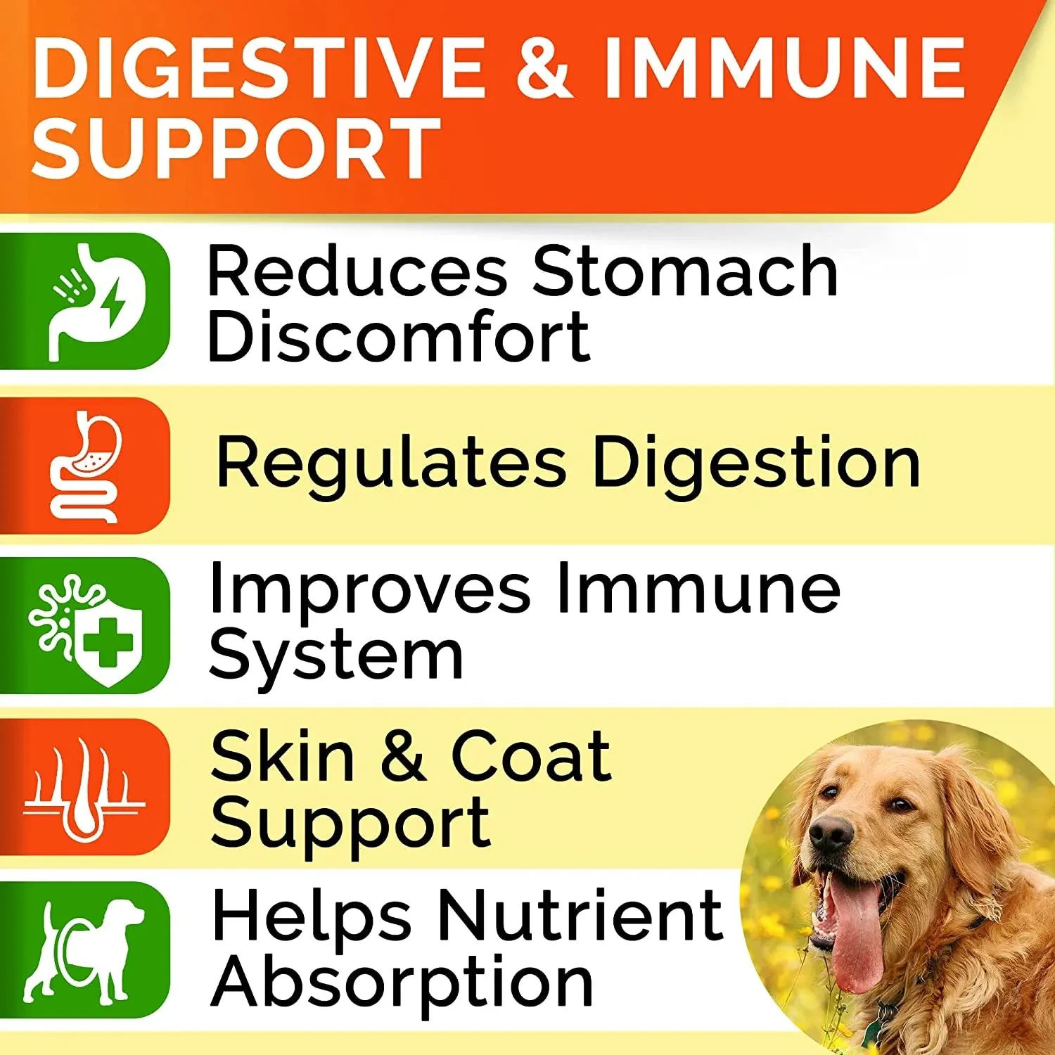 Probiotics Chews for Dogs & Digestive Enzymes   Digestion & Gut Health Treats 120 count