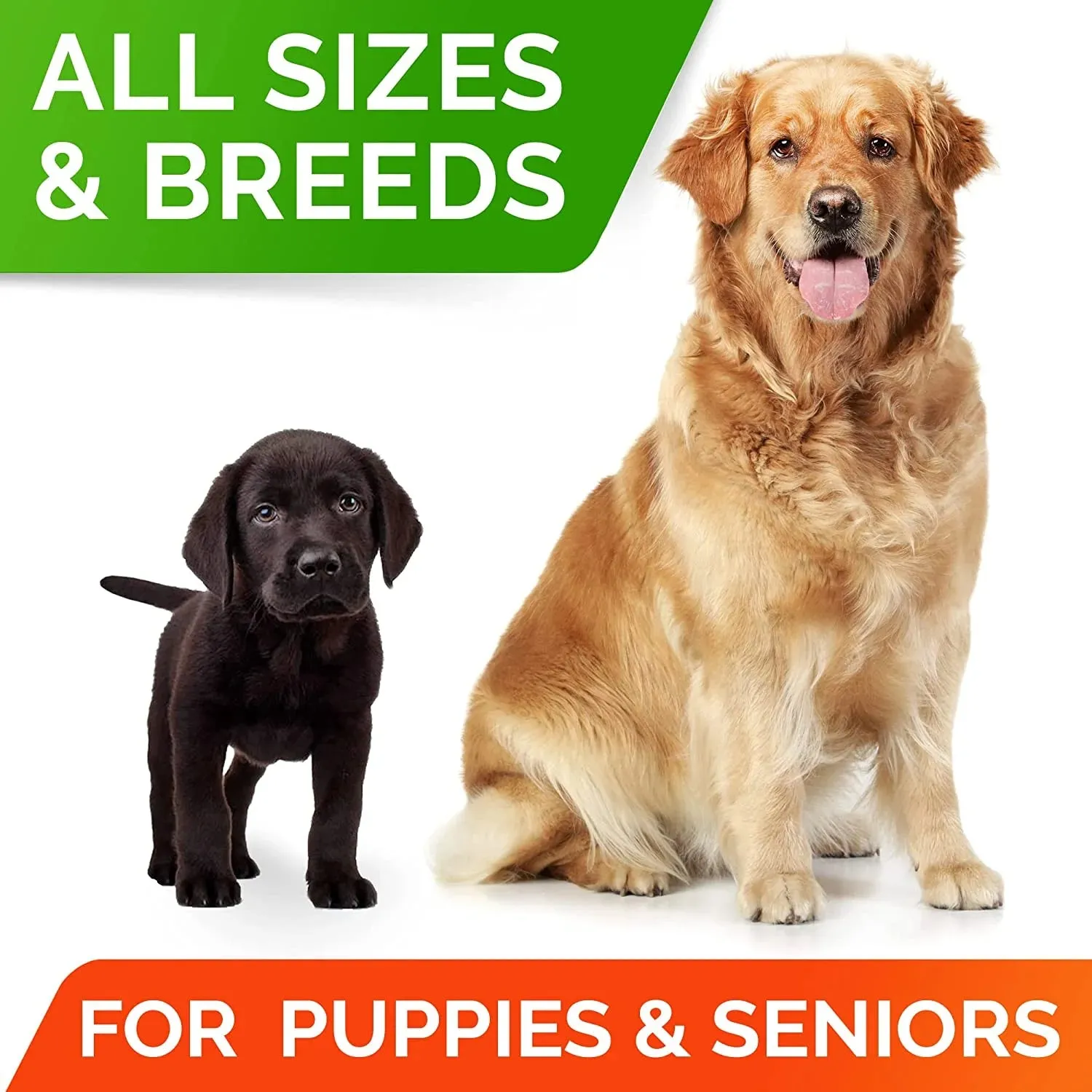 Probiotics Chews for Dogs & Digestive Enzymes   Digestion & Gut Health Treats 120 count