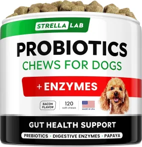 Probiotics Chews for Dogs & Digestive Enzymes   Digestion & Gut Health Treats 120 count