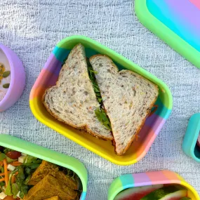 Rainbow Rectangle Silicone Container