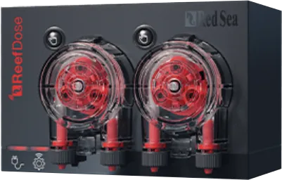 RED SEA REEF DOSE