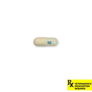 Rx Gabapentin Capsules