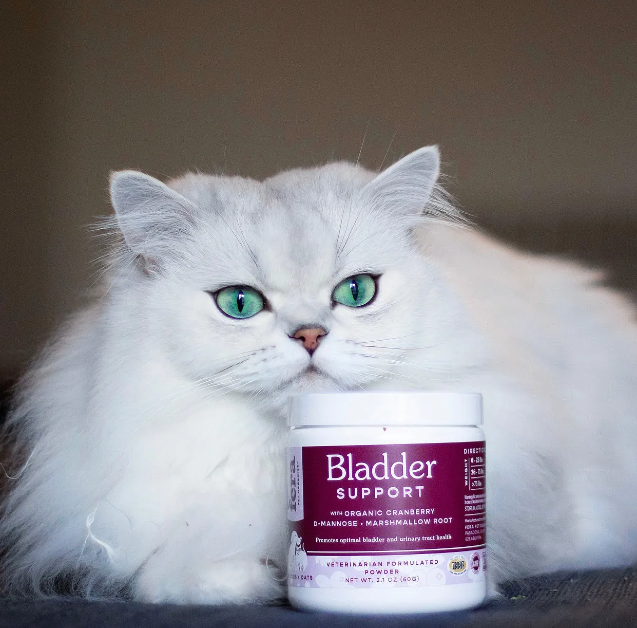 Senior Cat Bundle