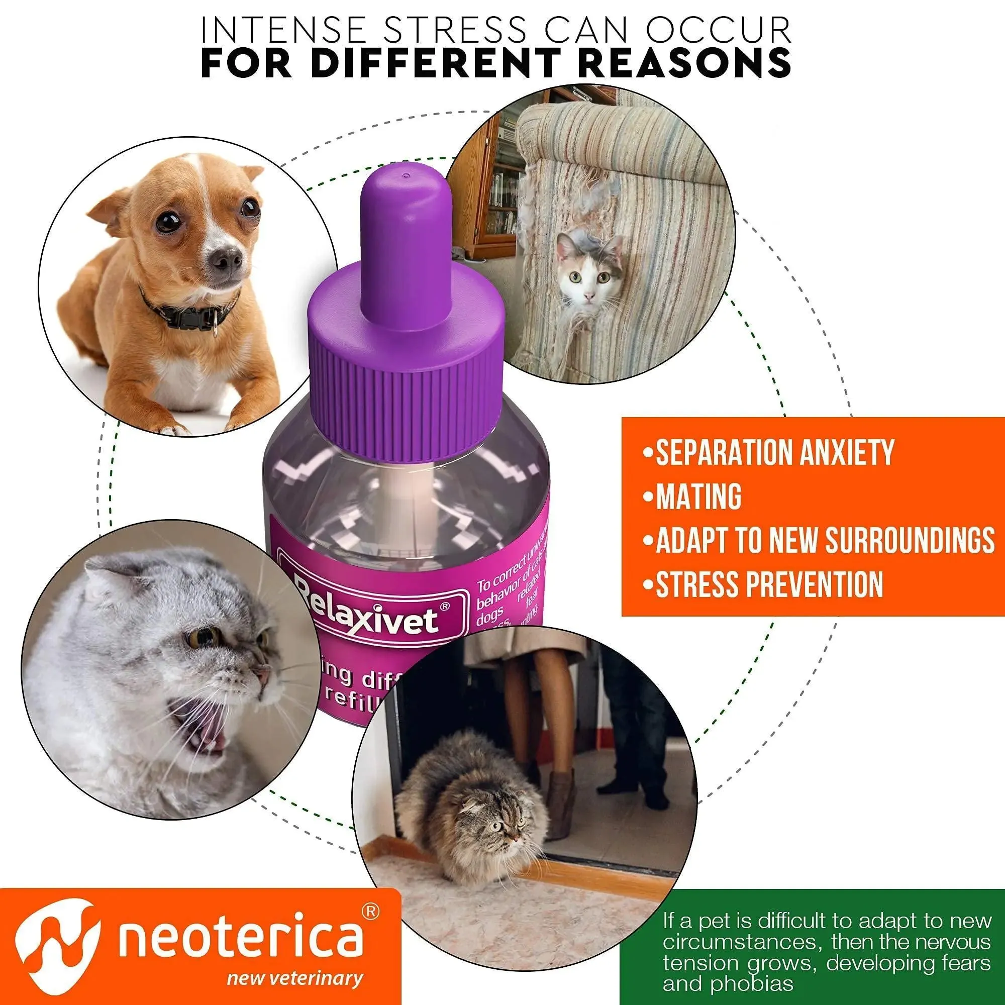 Serenity Feline Diffuser Refill 6-Pack