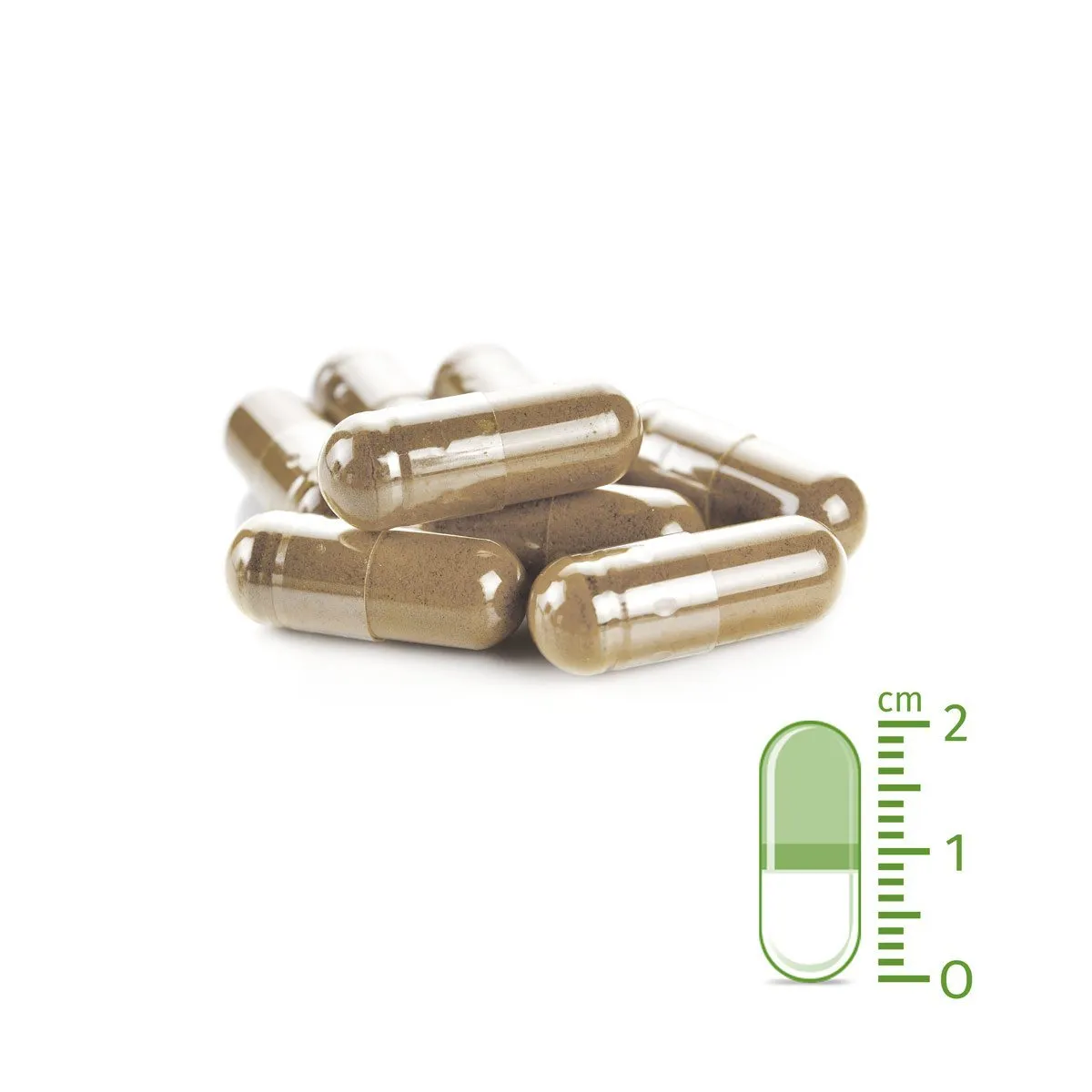 Tick Shield for Dogs - 60 Capsules